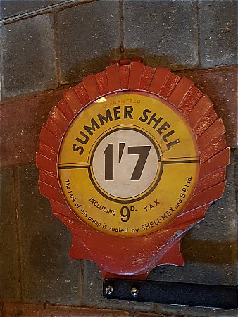 SUMMER SHELL  - click to enlarge