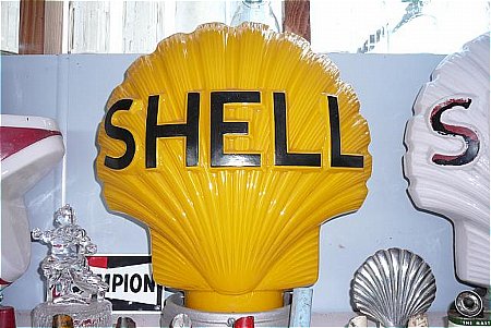 Globe, Shell clam yellow - click to enlarge