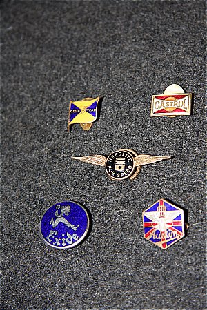 VARIOUS ENAMEL BADGES - click to enlarge